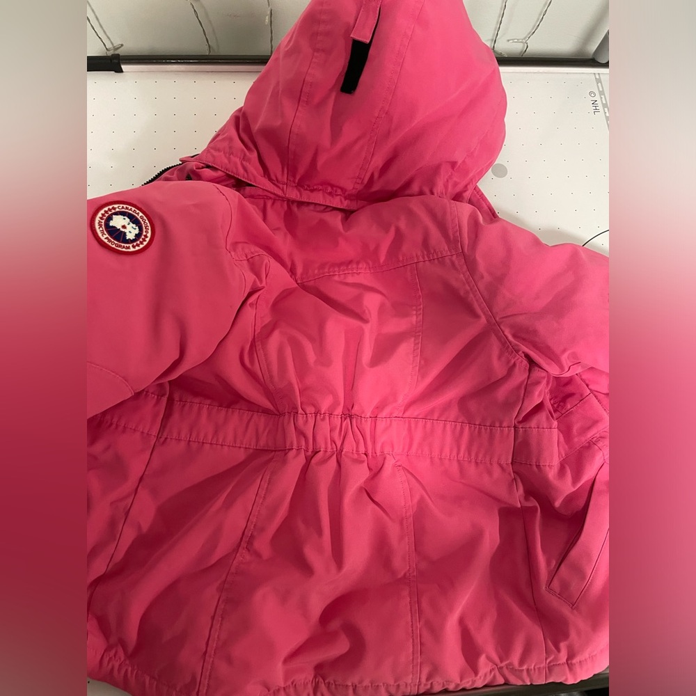 Canada goose for little princess